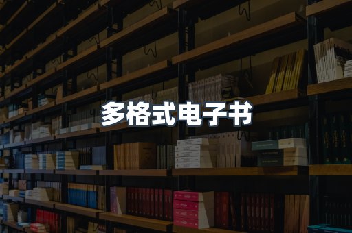 多格式电子书